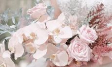 最钟情的星座女