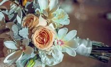 需要ciji 才能奋发图强的星座