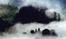 苏珊米勒2022年双鱼运势详解