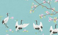 2022年虎人壬寅年运势