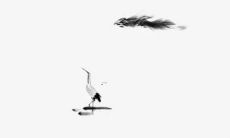 2022年都有什么属相犯太岁