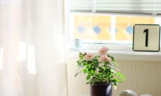 小拇指短的女生有福 小拇指短的女人命苦吗