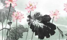 小孩取小名怎么取 名字推荐