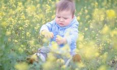 梦见师父是什么意思