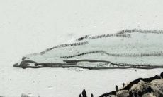 2022年出生属虎月份运势