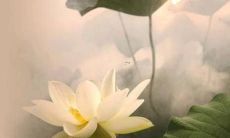 今年属虎的起什么名字好