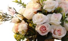 哪些星座男喜欢幼稚女