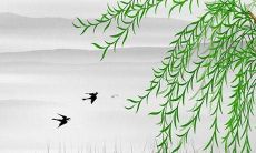 属小龙2022年虎年运势运程