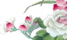 2022年属虎出生的孩子运势