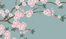 97年鼠2022年运势