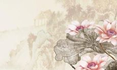 66马人2022年运势