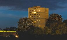 孕妇梦见摘青枣吃