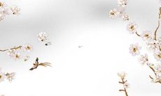 属马人2022年虎年运势犯不犯小人