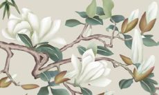 86属虎火命女适合戴什么属相