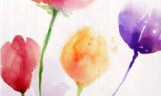 九四年男属狗2022年事业运势