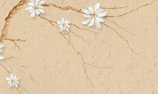 2022年犯太岁的有哪些属