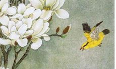 2022运势及运程 龙