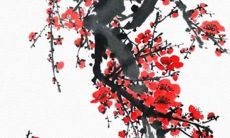 这几大星座会在什么时候做出违背常理的事情来