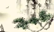 2022年学业运势免费