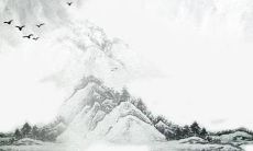 2022年属牛的运势和财运1981年