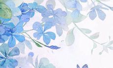 1986年女属虎注定二婚吗