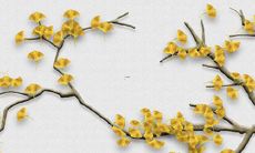 92年属猴一生三大劫难