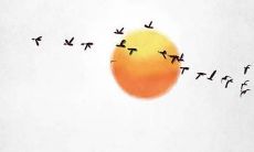 化解犯太岁的摆件或挂件