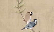 1994年属狗人有几次婚姻 29岁属狗的兔年姻缘好吗