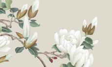 87年女兔在2022年运势