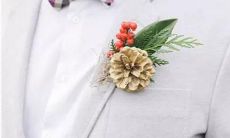 同一天两个金星星座