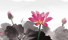 犯太岁最严重的是几月