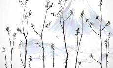 2022年属蛇女全年运势最新