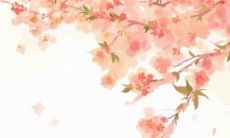 1963年兔在2022年的运势