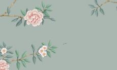 2022年虎年生肖牛运势