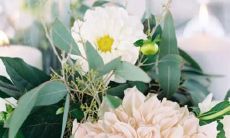 适合野蛮女友的星座