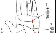 生命线有岛纹代表什么 性格保守