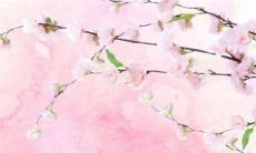 74年属虎和74年属虎的婚姻