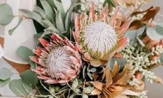 火影忍者小南十二星座