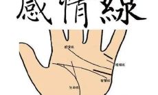 不同状态的健康线代表什么 深切且直表示健康良好