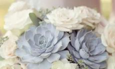 花心不是看星座