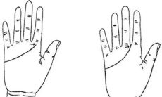 手掌纹路图解 川字纹井字纹