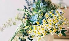 从来不爱抱怨 有问题立马解决的星座