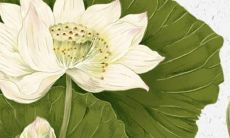 犯太岁怎么化解最有效