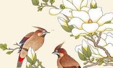 2022属虎的运势方位