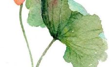 宝宝小名大全 男孩女孩名字有哪些