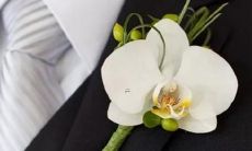 不回头！十二星座谁最执迷不悟