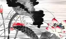 84年属鼠人2019年运势