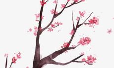 五画的字有哪些起名字用比较好