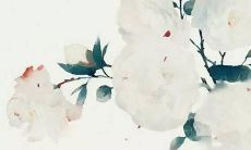 宛字和什么字搭配好听 五行属土吉利女生名字