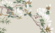 明年虎年犯太岁生肖是什么